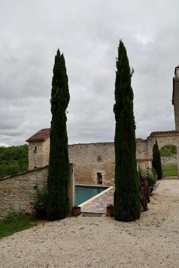 Chateau De Pleneselve Bon-Encontre Zewnętrze zdjęcie