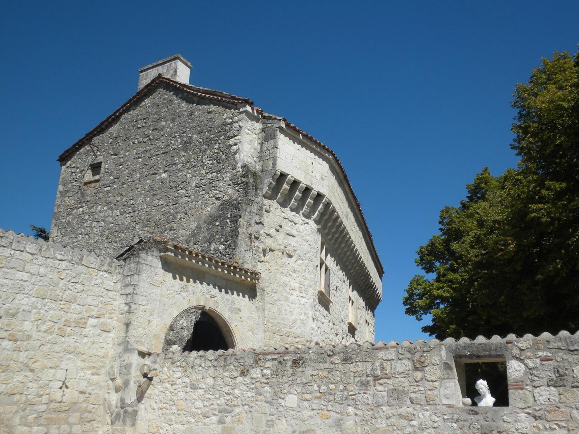 Chateau De Pleneselve Bon-Encontre Zewnętrze zdjęcie